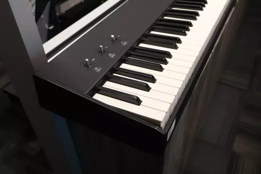 Store Special Product - Studio Logic - SL-88-GRAND